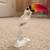 RARE AUSTRIA SWAROVSKI TOUCAN SILVER CRYSTAL 1 thumbnail
