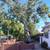 Tree Service 2 thumbnail