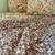 Reversible Sonoma comforter and 2 pillow shams ￼ 4 thumbnail