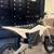 rtr lite ebike 3 thumbnail