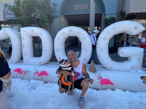 Need room in Santa Monica or nearby on the westside-West LA / WestWood 1