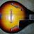 8-String Mandolin 2 thumbnail