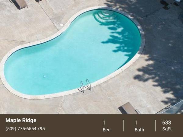 $1,129 / 1br - 633ft2 - Plenty of trees and space! (Richland)63779894737667123