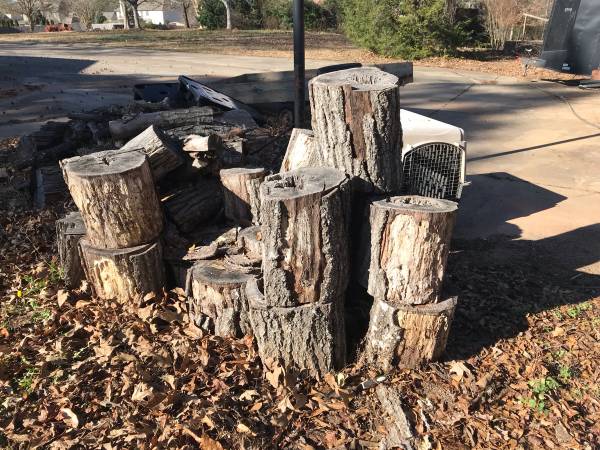 Free oak firewood 1