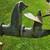 Mercury Outboard Super 5 Kiekhaefer 12 thumbnail