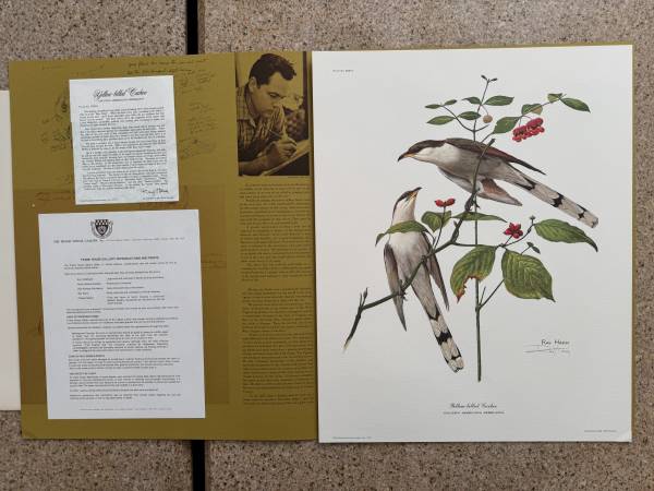 Ray Harm Yellow-billed Cuckoo Signed 16x20 Lithograph Art Print 1