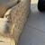 3 Piece Beige Couch Set $300 MOVING MUST SELL 4 thumbnail