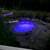 Inground pools , hardscapes , pavers , stamped concrete 3 thumbnail