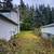 Brush Cutting, forestry mulching - Selective land clearing 13 thumbnail