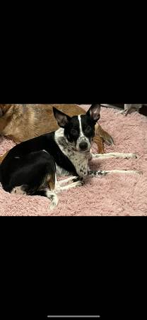 Reubicación con una pequeña tarifa (Spooner)64054659121795121