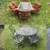 Selection of 6 Chair Patio Sets $500 to $2000 3 thumbnail