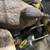 Complete Avery Duck Decoy Package 3 thumbnail