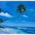 Large Florida Scene Signed Oil Painting 53 X 41" 8 thumbnail