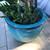 A large Gollum jade in a beautiful glazed blue pot 3 thumbnail