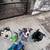 Dogwalker/Overnight Housesitting - Beloved dog & cat whisperer, is me! 11 thumbnail