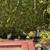 Sunny 1 Bedroom Cottage for Rent 12 thumbnail