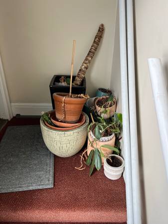 huge lot of pots 1