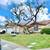 Tree & palm services, yard clean ups, artificial grass & pavers 9 thumbnail