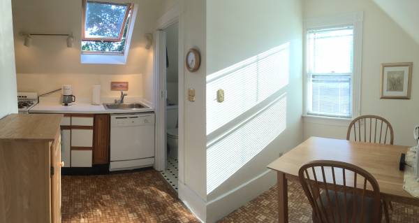 $2,850 / 1br - WALK TO HARVARD. Furnished 1 Bedrm + Study, heat, all utils & laundry (Harvard / Porter)63797254783875124