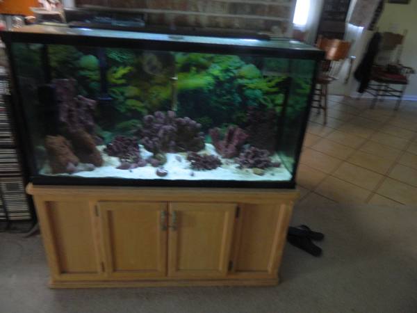 ACUARIO DE 75 GALONES CON SOPORTE Y TODO EL EQUIPO $250 (Pensacola)63836590633347121