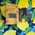 Natural dog treats. 1 thumbnail