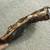 14"x8" Chunk of OLD Bur Oak Tree Branch Hole UNIQUE Crafts Art Bark 6 thumbnail