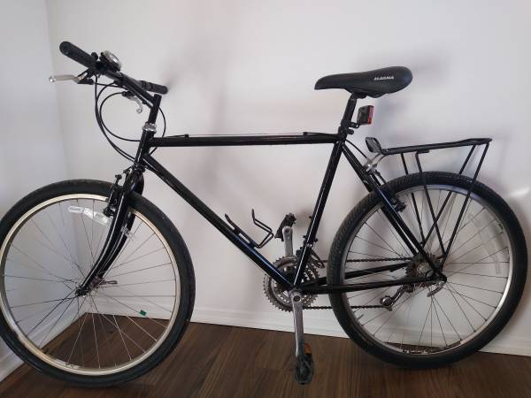Ebony commuter bicycle 1