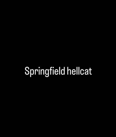 Springfield Hellcat like new 1