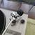 Vintage Technics SL-220 Stereo Turntable Record Player #1 5 thumbnail