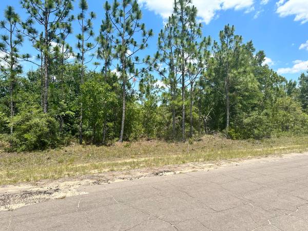 $13,000 / 10454ft2 - $13,000 - Residential Lot in Sunny Hills - 10,454 sq ft (CHIPLEY) (CHIPLEY)63910445836675122