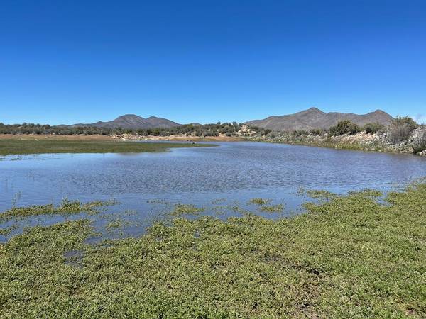 $35,000 Rural lots per hectare!!! (Ensenada)64217145946625120