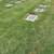 Greenlawn Cemetery Grave Plot 1 thumbnail