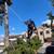 LANDSCAPE- GARDENING, CLEAN UPS, HAULING, CONCRETE, TREE SERVICE, SPRINKLERS, AN 9 thumbnail