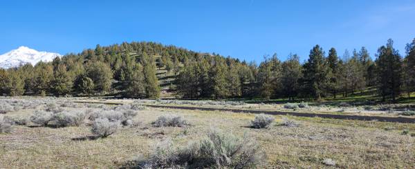 $8,000 Lote 32 Silver Spur, 0.44 acres con vista al Monte Shasta (Lake Shastina)63678201304835120