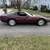 1993 Corvette 40th Anniversary 7 thumbnail