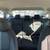 2018 Honda Civic - Financing Available! 10 thumbnail
