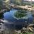 High-End Koi Pond & Water Garden System – Pro Equipment (Lightly Used 8 thumbnail