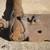 Primitive Hand Saws, Timber and Buck 6 thumbnail