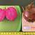 Dragon Fruit plants 5 thumbnail