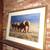 Thomas Mangelson elephants 1 thumbnail