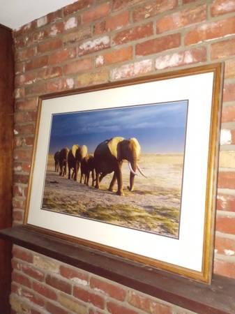 Thomas Mangelson elephants 1