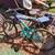 Nishiki Bicycle Sale 2 thumbnail