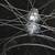 mint Campagnolo Record  / Mavic Open Pro  Clincher Wheelset 9-10sp 8 thumbnail