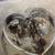 wine barrel metal signs 4 thumbnail