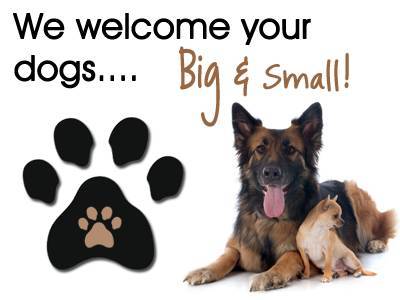 Updated & Spacious* 2 Bedroom Ready Now* Pets Welcome* No Stairs* 1