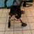 Collapsible rolling walker with seat & hand brakes 3 thumbnail