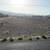 LAND FOR SALE IN PAHRUMP 8 thumbnail