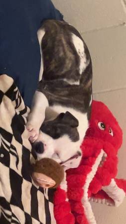 About three months 1