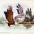 Watercolor Portait Cards. Wildlife of Canada’s Pacific Coast.ALL 3 for 4 thumbnail