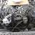 ☆ Mobile Auto Mechanic ☆ 60% OFF Labor Repairs, CALL  504-552-0896.. 5 thumbnail